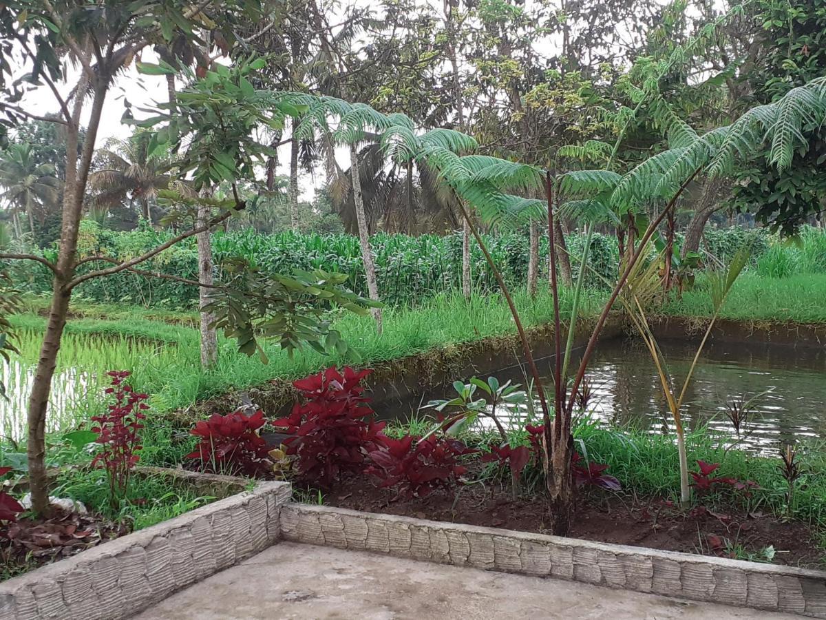 Eltari Homestay Tetebatu Exterior photo