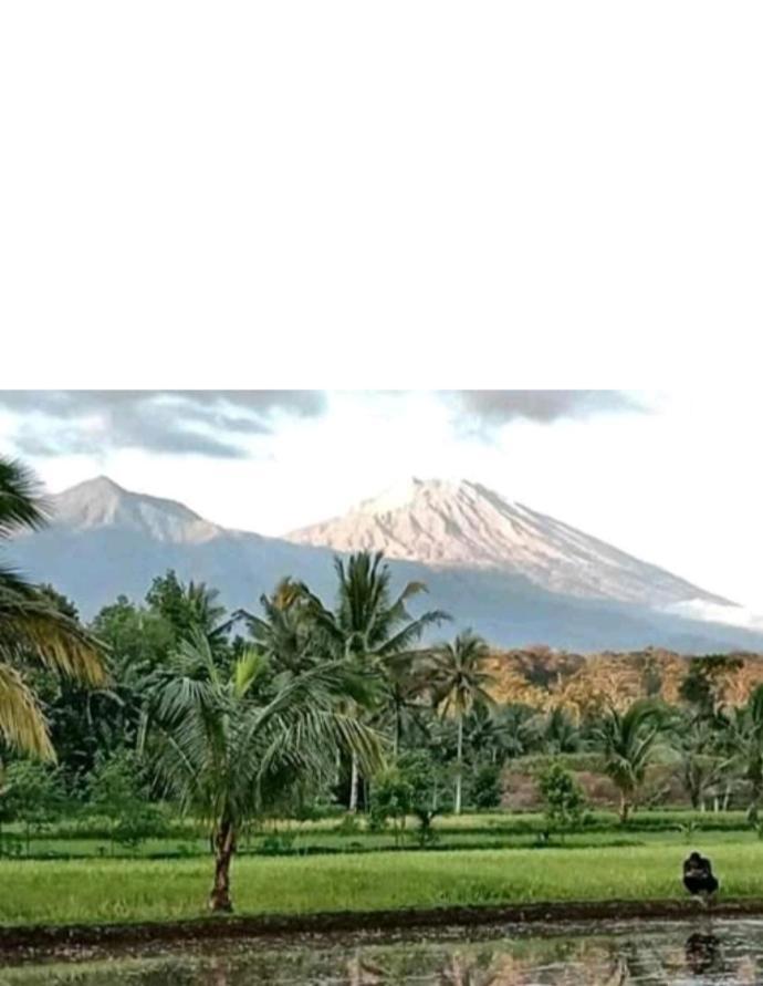 Eltari Homestay Tetebatu Exterior photo