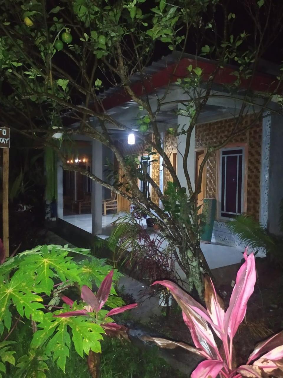 Eltari Homestay Tetebatu Exterior photo