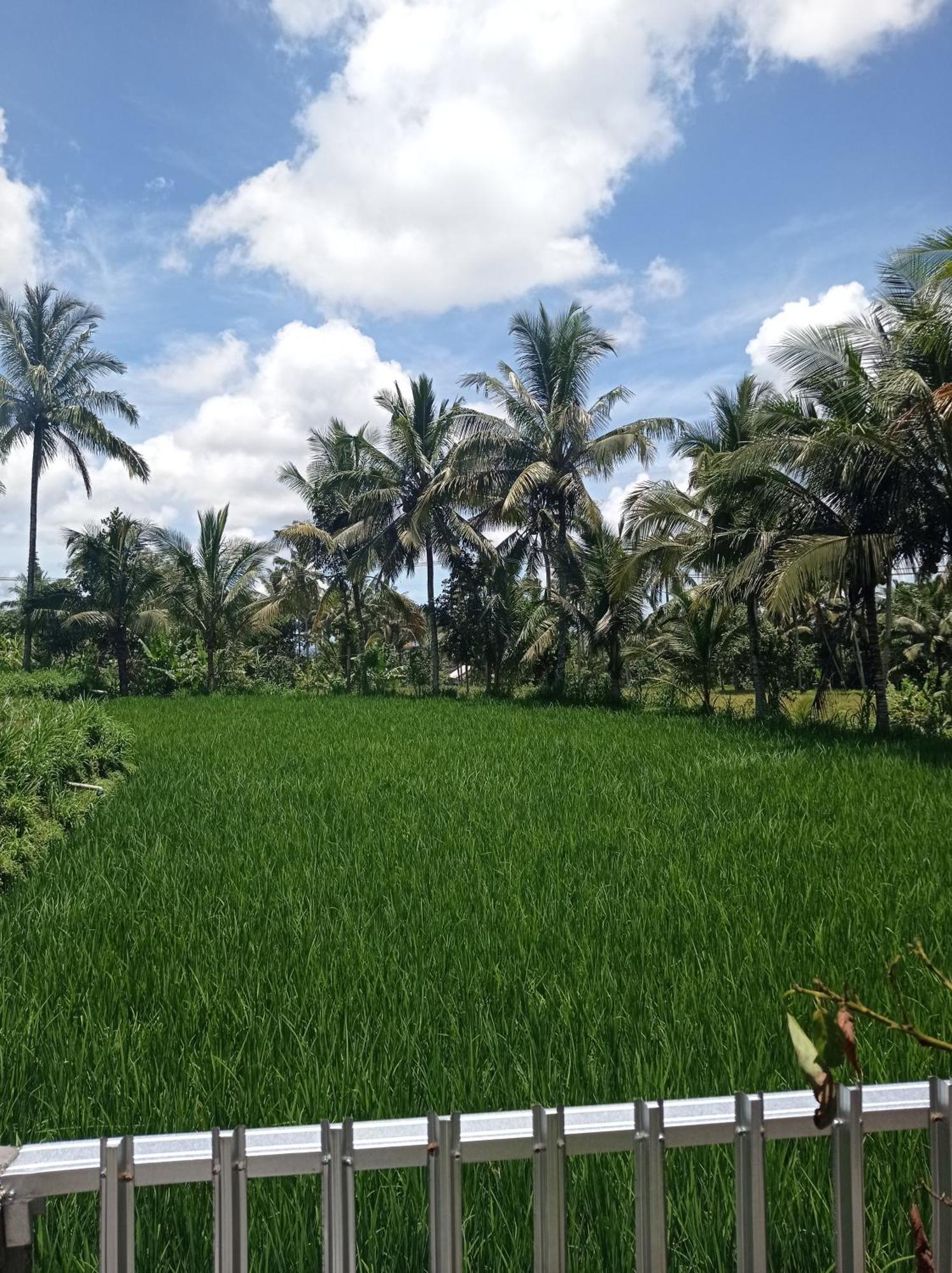 Eltari Homestay Tetebatu Exterior photo